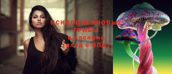 молекула духа Кукмор