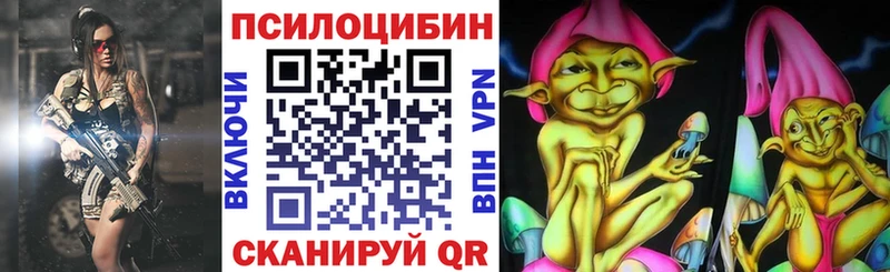 Галлюциногенные грибы Psilocybine cubensis  Купить где  Козельск 